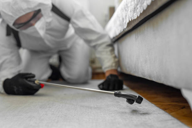 Professional Termite Control technician working in Stallings, NC