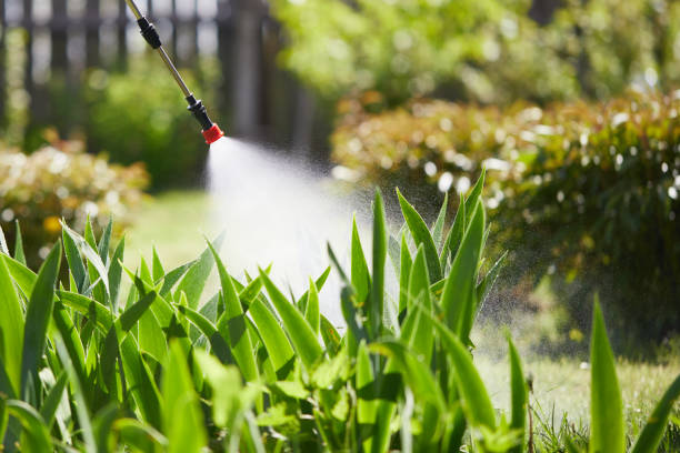 24/7 Emergency Termite Control experts in Stallings, NC