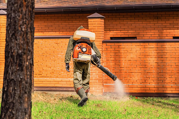 Top rated local Termite Control specialists in Stallings, NC